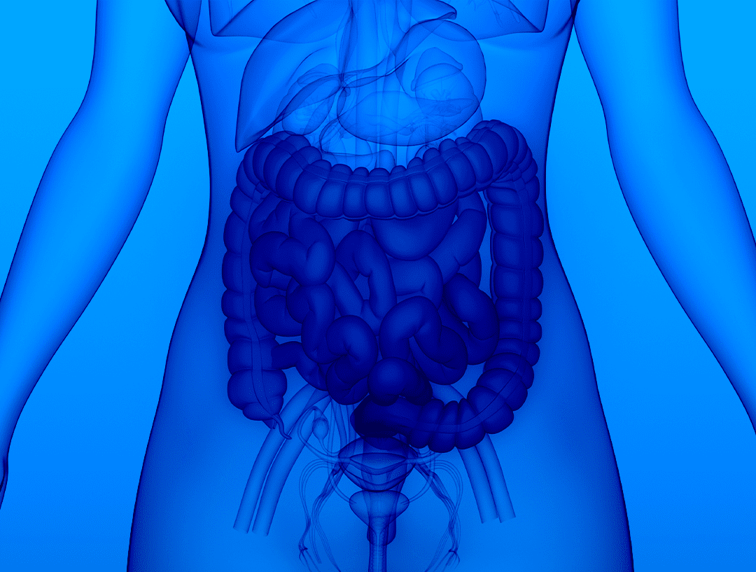 18393-V3-Mobile-Causas-da-Doenca-Inflamatoria-Intestinal-1530x363-Artes-para-Landing-page-da-Linha-de-Cuidados-da-Gastrologia-e1751906322392