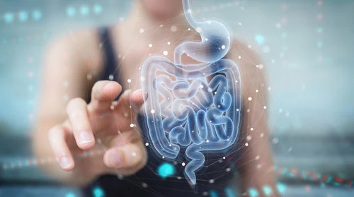 pessoa clicando em tela em que aparece aparelho digestório: estômago, intestino. Uma referência à doença de crohn