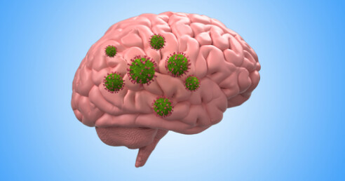 ilustrativa coronavírus no cérebro