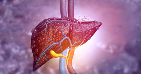 Fígado: sinais de alerta para doenças hepáticas