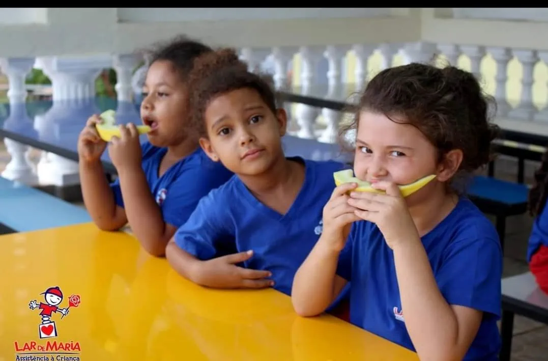 FUMCAD alimentação3
