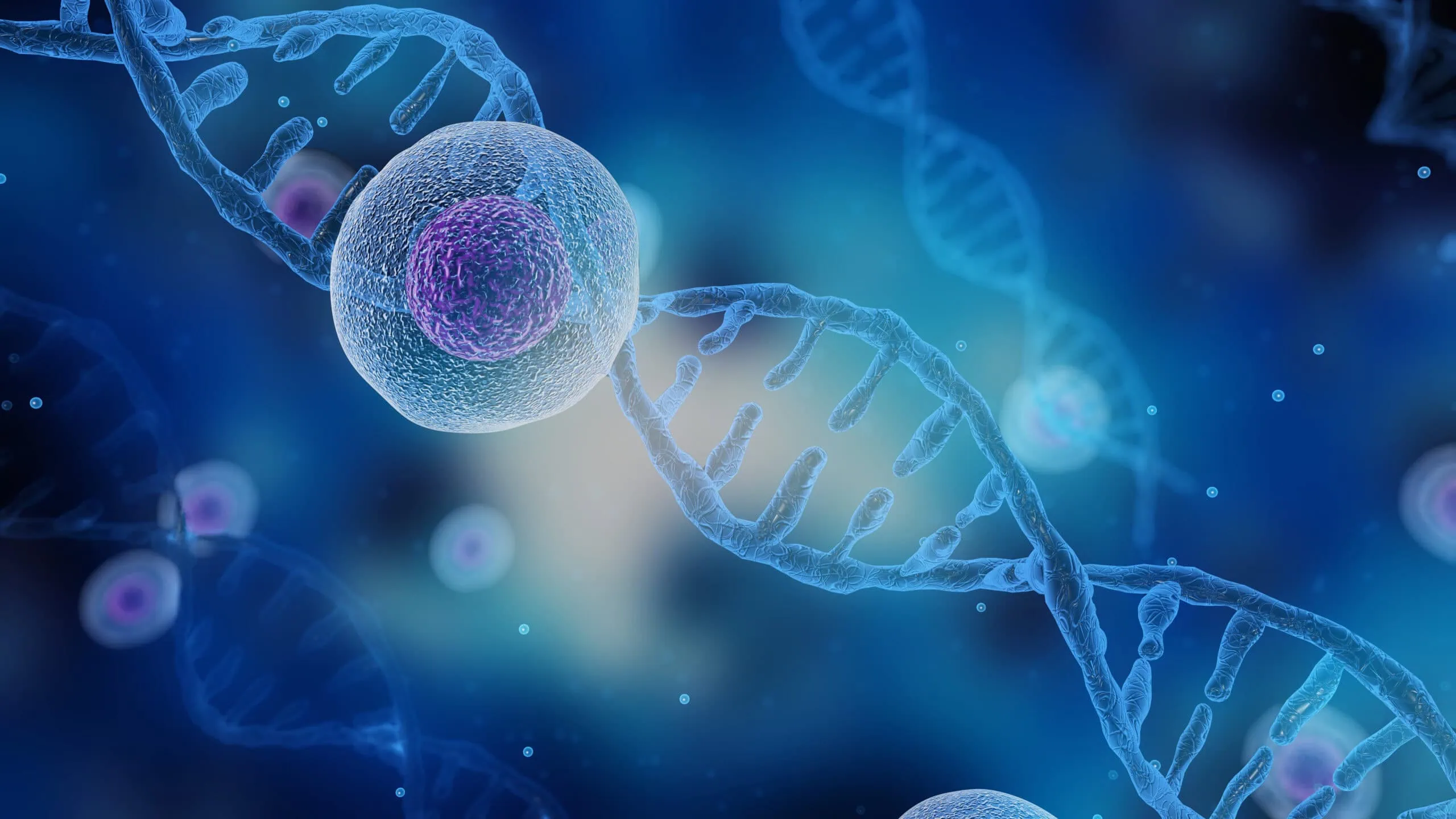 3D rendering , Helical DNA structures