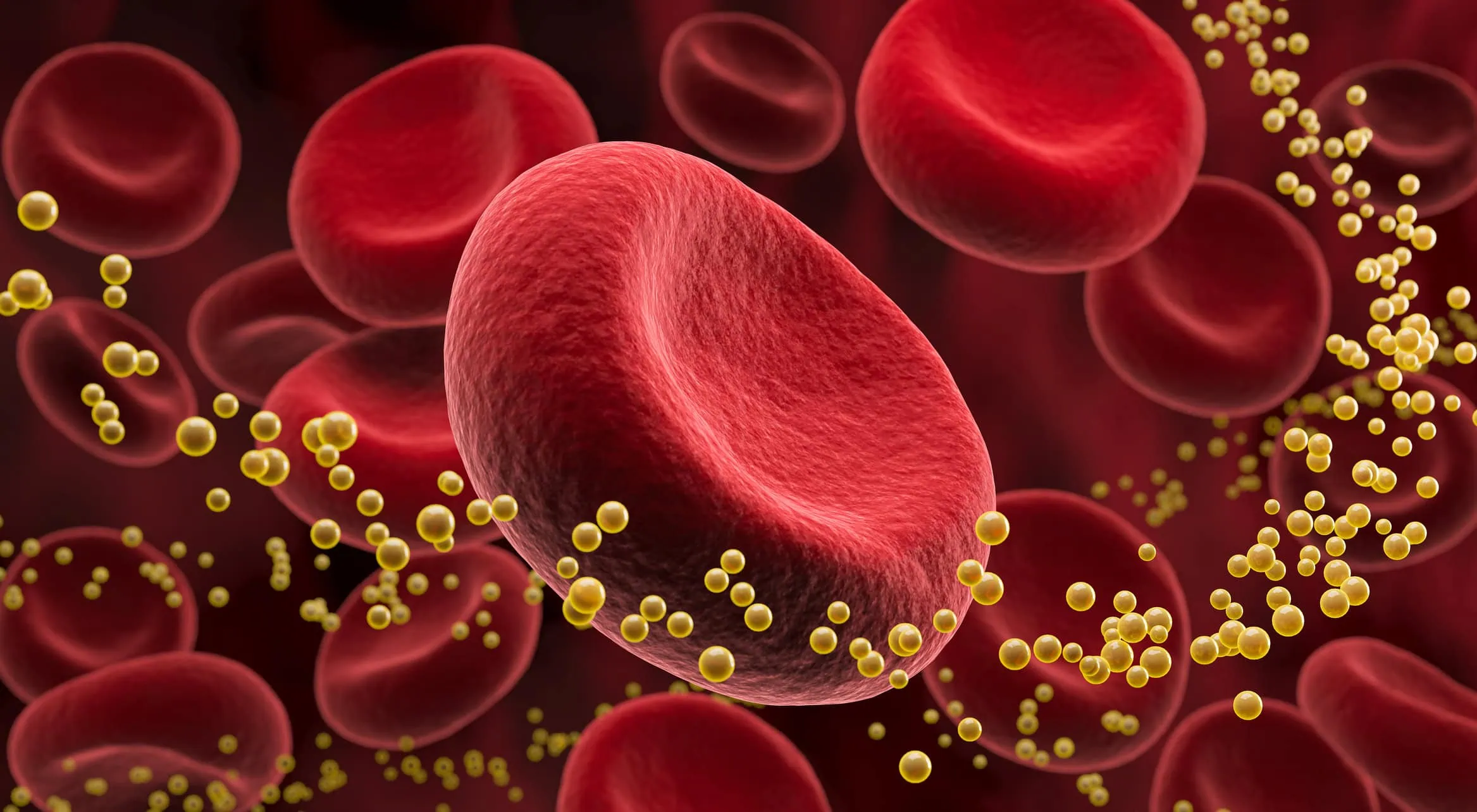 blood cell with cholesterol.