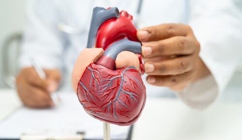 Dispositivo de assistência ventricular (DAV): o que é, como funciona e quanto é indicado?
