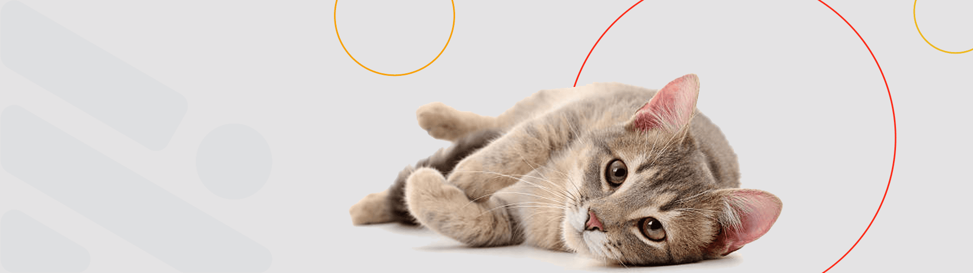 Imagem padrão dos artigos