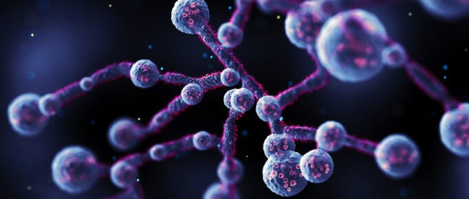 Esporotricose entra na lista das doenças de notificação compulsória