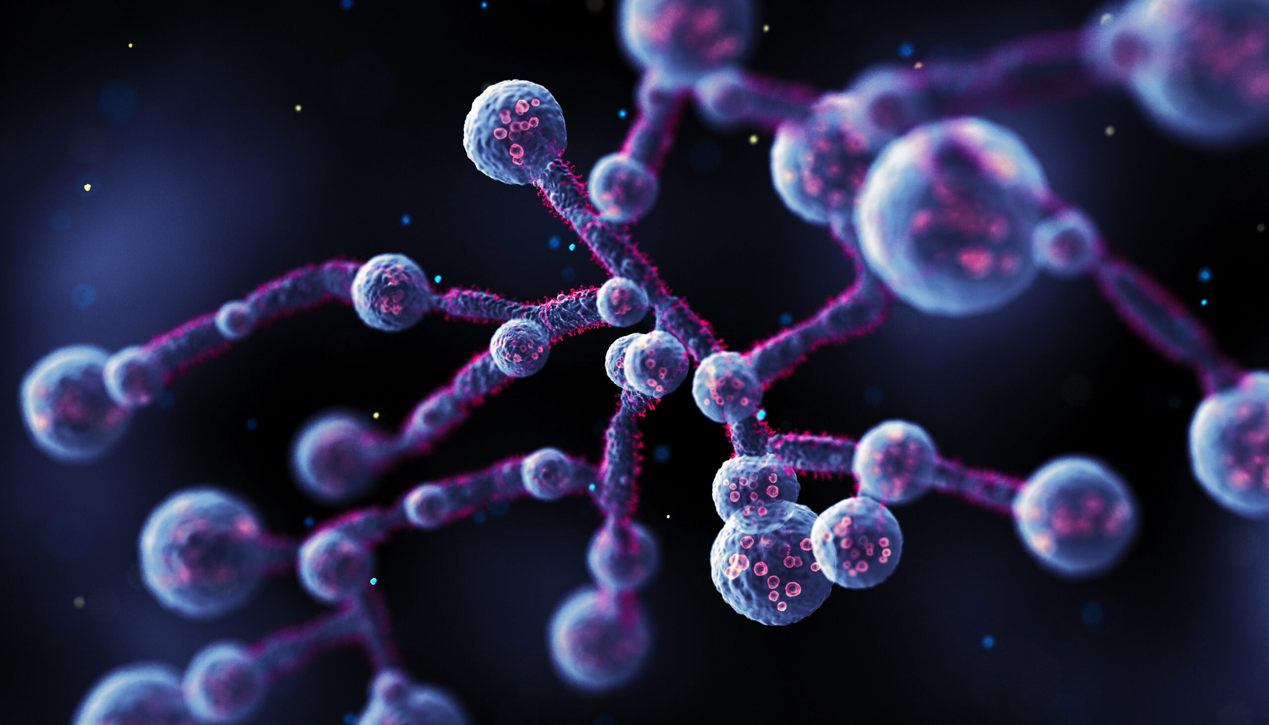 bactéria da candidíase Auris Cells