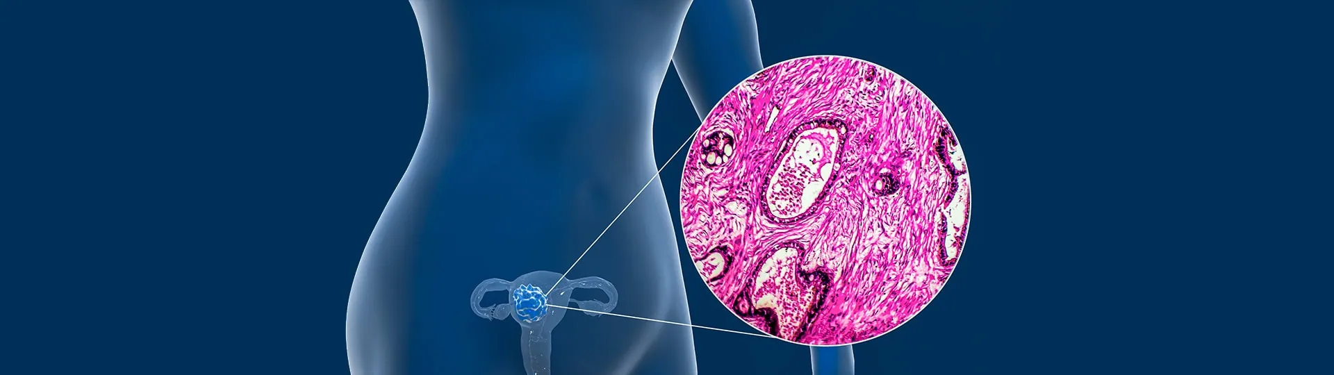 Imagem padrão dos artigos