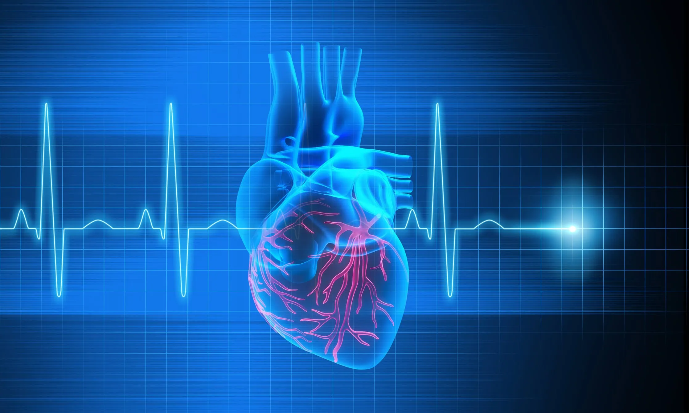 Imagem padrão dos artigos