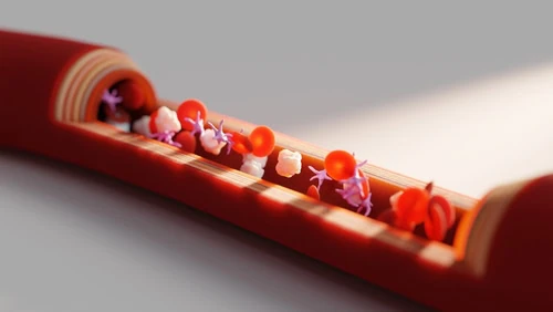 Imagem padrão dos artigos