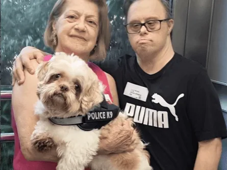 Imagem padrão dos artigos