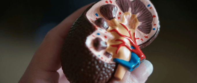 doença renal crônica