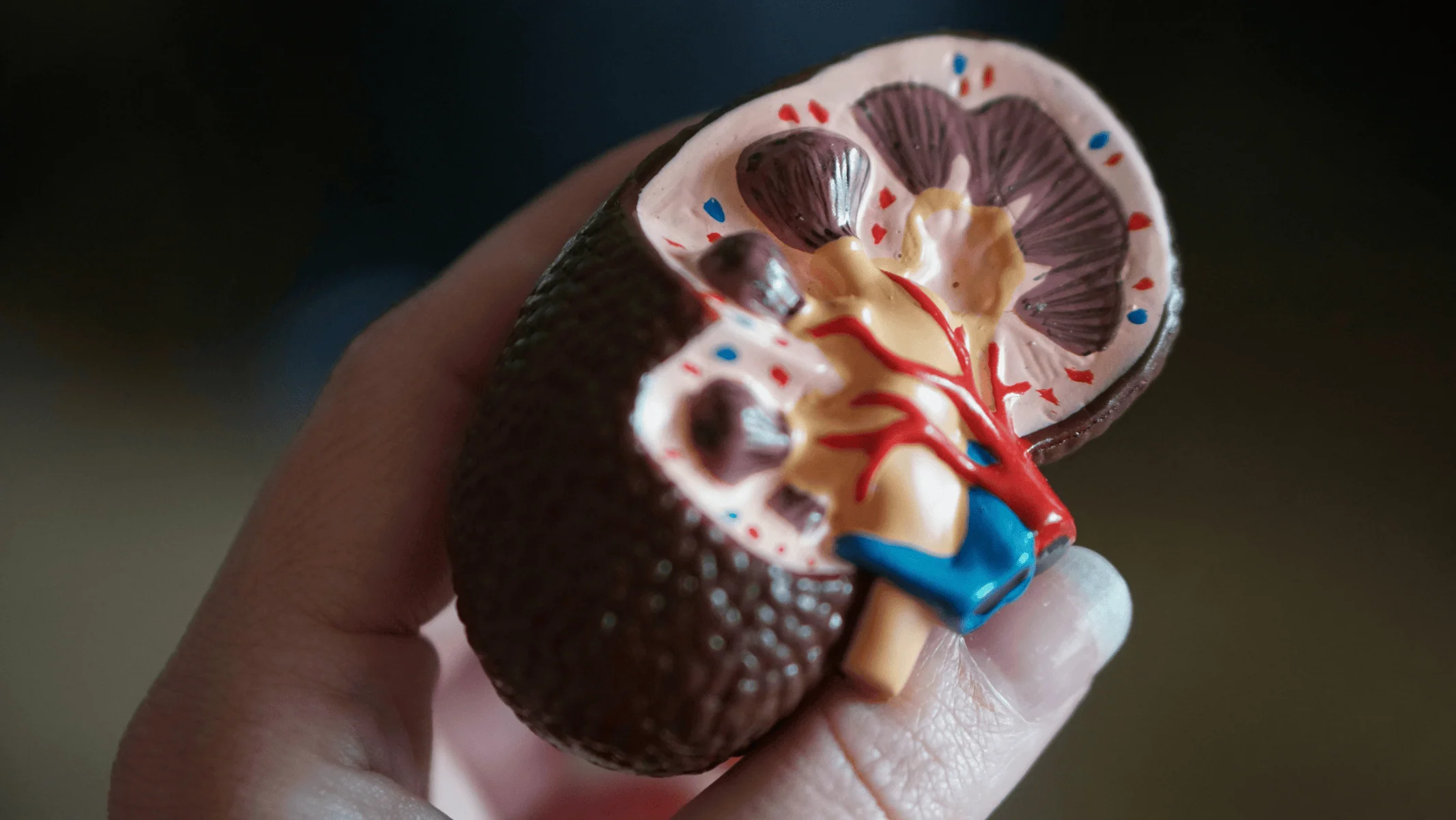 doença renal crônica