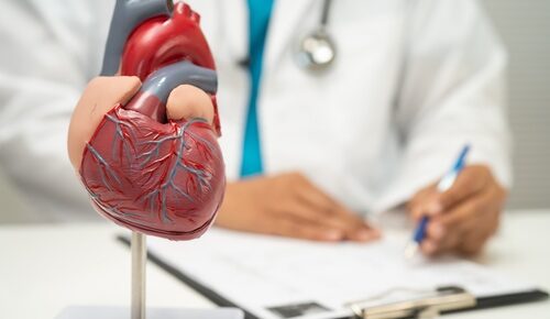 Coração artificial: como funciona, quem pode usar e quais os riscos