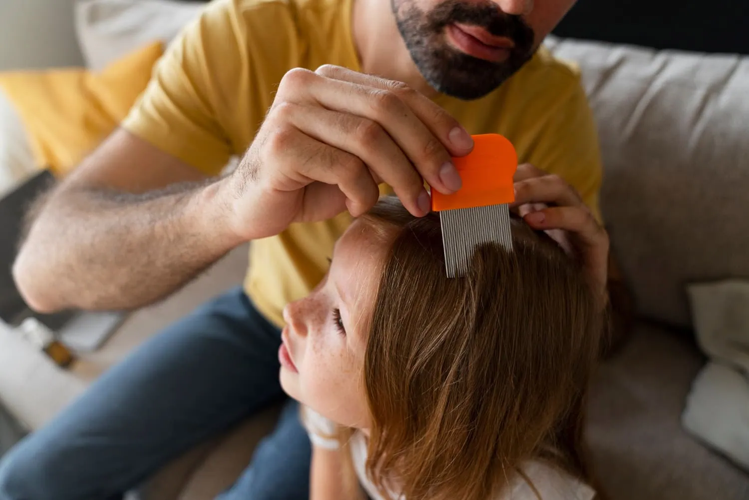 2149541827 ALT: adulto de pele branca, barba escura, camiseta amarela e calça jeans, passa pente fino nos cabelos de menina de pele clara, sardas, e cabelo castanho para prevenção de piolhos.