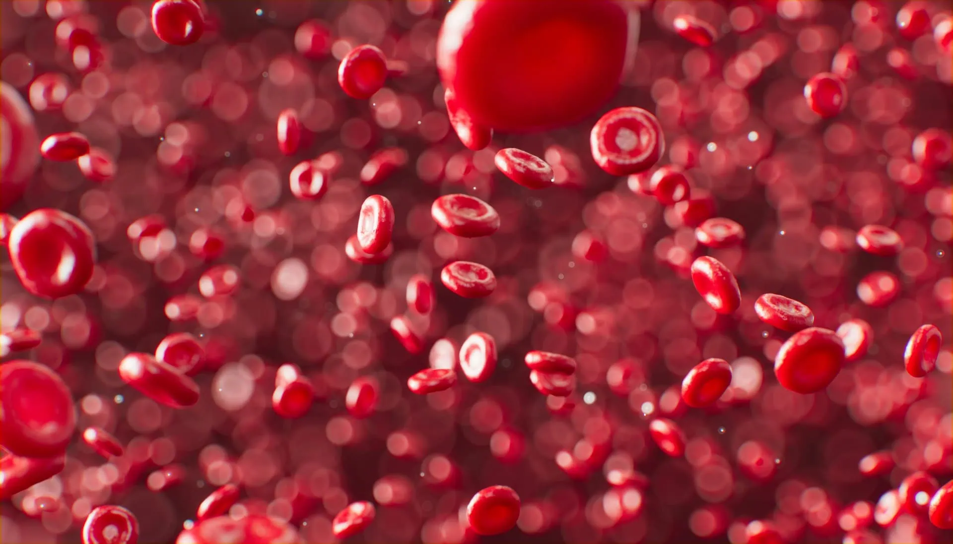 anirudh-djo3iNJpaOE-unsplash ALT: imagem mostra glóbulos vermelhos flutuando na corrente sanguínea.