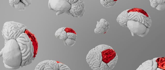 ALT: arte com vários desenhos de cérebros, formando uma estampa, onde os cérebros estão na cor branca, flutuando sobre fundo cinza, e com as meninges (membranas) destacadas coloridas em vermelho.